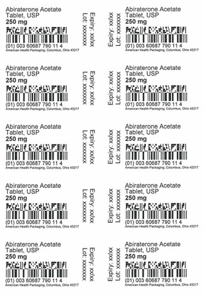 250 mg Abiraterone Acetate Tablet Blister (250 mg Abiraterone Acetate Tablet Blister)